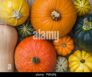 Looking down from above onto a variety of different types of pumpkins, Winter Squash and Gourds in a full frame food background image with copy space Stock Photo