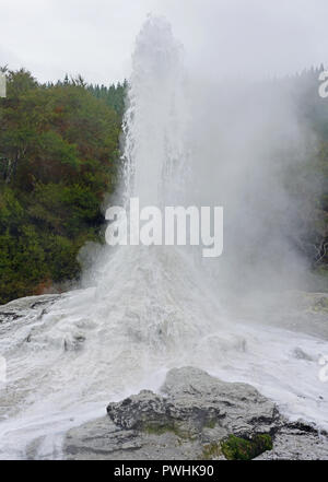 View of the Lady Knox geyser erupting in the Waiotapu area of the Taupo Volcanic Zone in New Zealand Stock Photo