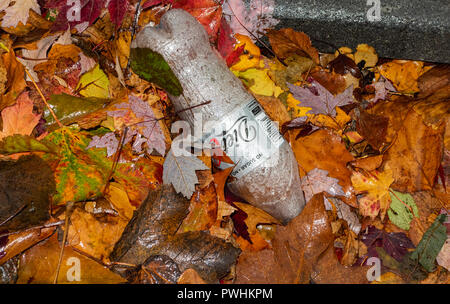 Discarded Plastic Diet Coke bottle and autumn leaves Stock Photo