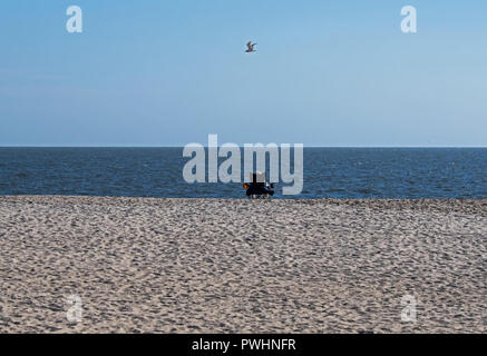 Alone on the beach contemplating life. Individual sitting on the beach with a lone gull flying overhead on a warm sunny October day. Stock Photo