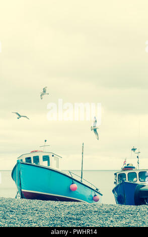 Fishing Boats on beach with seagulls Stock Photo