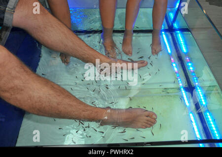 Fish Pedicure. Fish SPA therapy treatment in Eilat, Israel Stock Photo