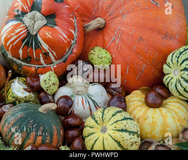 West Sussex Pumpkin farm Stock Photo - Alamy