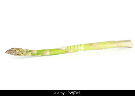 One whole fresh green asparagus spear isolated on white background Stock Photo