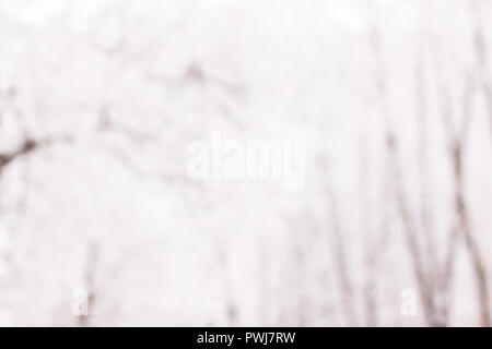blurred image of trees in winter Park Stock Photo