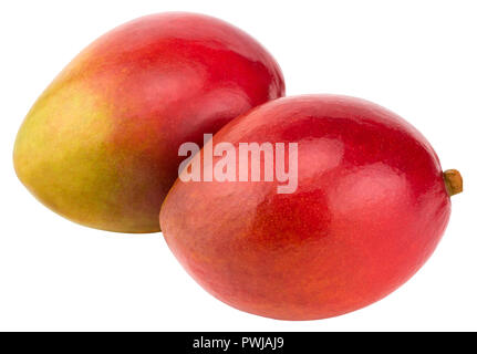 Two mangoes isolated on white background Clipping Path. Stock Photo