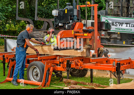 TWO OPERATORS USING A WOOD MIZER A TRANSPORTABLE WOOD CUTTING MACHINE Stock Photo