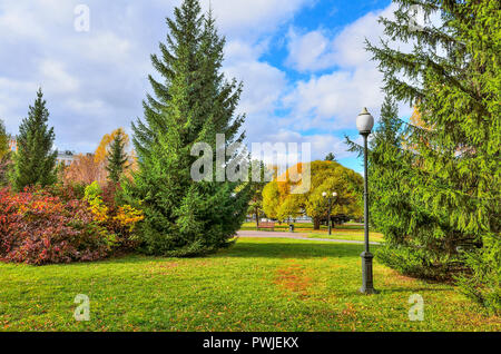 Multi-colored foliage of coniferous and deciduous trees and bushes around green lawn in autumn city park. Beautiful fall nature landscape at sunny oct Stock Photo