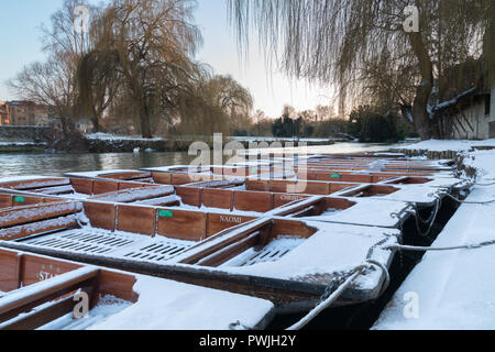 Cambridge punts in the snow, moored up at the Mill pond, Cambridge England, UK