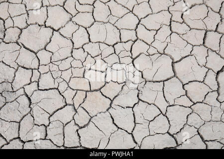 Cracks in mud, Norfolk coast, UK Stock Photo