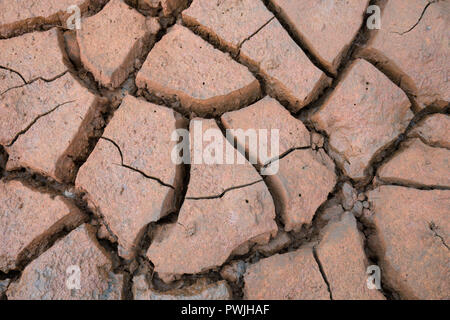 Cracks in mud, Norfolk coast, UK Stock Photo