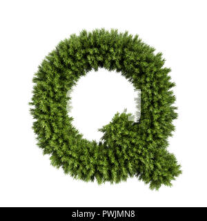 Christmas alphabet ABC character letter Q font. Christmas tree branches capital letters decoration type. Highly realistic 3d rendering illustration. T Stock Photo