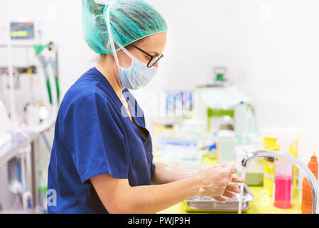 Veterinary surgeon washing hands before operating Stock Photo