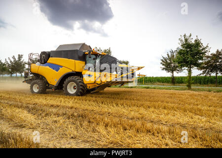 Big yellow combine harvester cuts the grain field. Agriculture in full swing Stock Photo