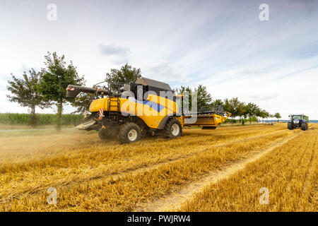 Big yellow combine harvester cuts the grain field. Agriculture in full swing Stock Photo