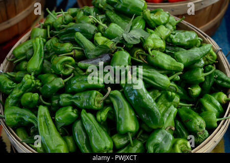 A bushel basket of padron chile peppers for sale at a farmers’ market in New Mexico. Stock Photo