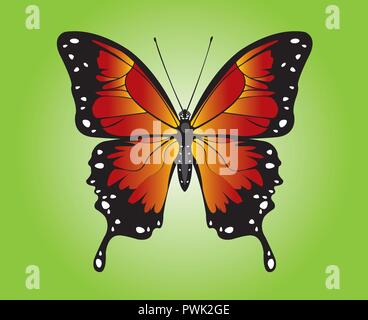 beautiful adult stage monarch lepidoptera butterfly vector art wing span opened Stock Vector