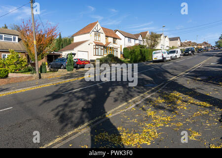 Green Street Green, Kent, UK. 16 October 2018. A beautiful sunny autumn day with blue skies in the south London suburb of Green Street Green near Orpington.  Sunshine is expected to continue for the rest of the week, with temperatures of around 16 degrees centigrade. Credit: UrbanImages/Alamy Live News Stock Photo