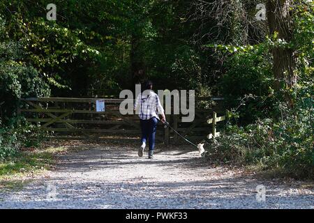 Ashford, Kent, UK. 17th Oct, 2018. UK Weather: A lovely sunny mid morning day as a few people take a walk in the Hamstreet national nature reserve. A woman walks her dog along the path entrance to the forest. © Paul Lawrenson 2018, Photo Credit: Paul Lawrenson/ Alamy Live News Stock Photo