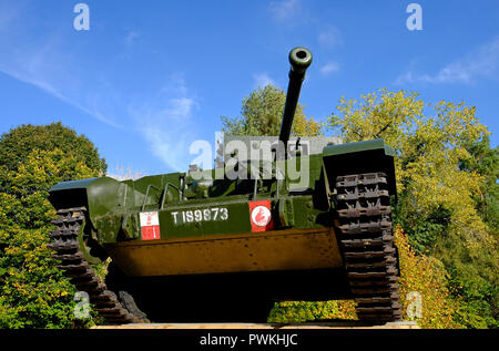 the desert rats association memorial, ickburgh, thetford forest, norfolk, england Stock Photo