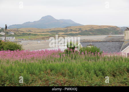 Castel Chriccieth in Wales Stock Photo