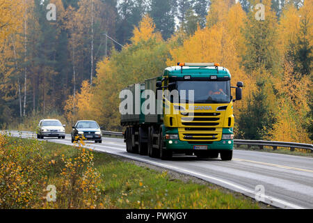 Salo, Finland - October 13, 2018: Yellow and green Scania R500 truck hauls a load of sugar beet on rural highway in Finland flanked by autumn foliage. Stock Photo