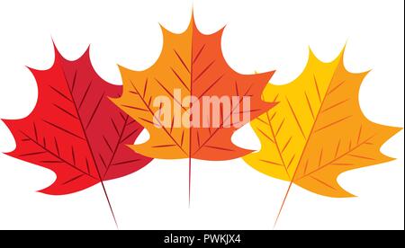 autumn leaves nature on white background vector illustration Stock Vector
