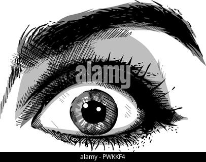 Close-up scared face of beautiful woman with beautiful blue eyes and big pretty eyelashes and eyebrows. Macro of human eyes - surprise or shock, looking at camera. Stock Vector