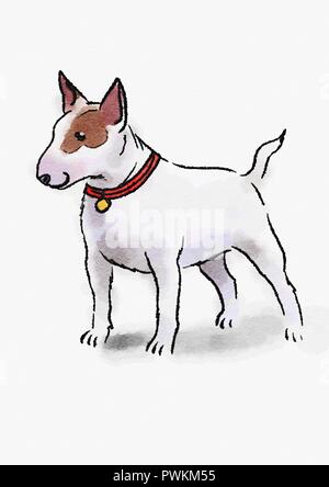 staffordshire bull terrier illustarion Stock Photo