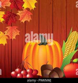 thanksgiving pumpkin acorns apple cherrys cob and leaves vector illustration Stock Vector