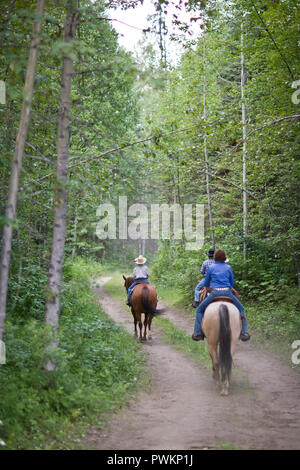 People riding horses along forest path Stock Photo