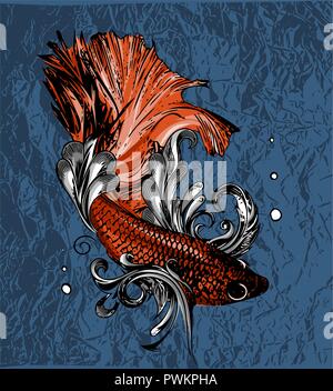 Vector vintage illustration of little veil fish Stock Vector