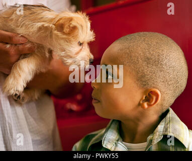 Puppy and a young boy looking at each other. Stock Photo