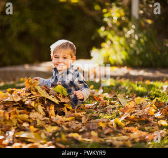 Little boy having fun sitting in a pile of leaves in the backyard. Stock Photo