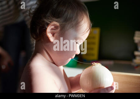 One year old toddler girl holding and investigating a raw onion in a home Stock Photo