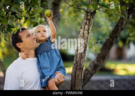 Smiling mid adult man helping his young daughter to pick an apple from a tree. Stock Photo