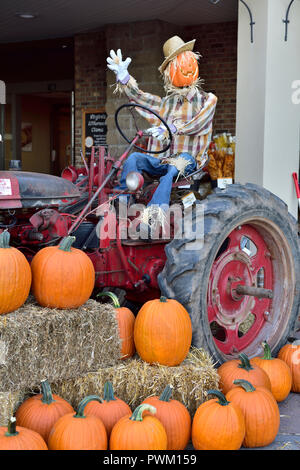 Halloween and autumn with pumpkins, tractor and scarecrow celebrations in front of store, Rochester, New York, USA Stock Photo