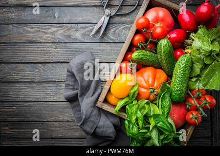 Food, harvesting, summer concept. Assortment of ripe organic farmer red tomatoes, cucumbers, radish and basil on a wooden table. Top view. Stock Photo