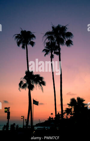 Silhouetted People and Palm Trees on the Beach at Sunset in Southern California Stock Photo