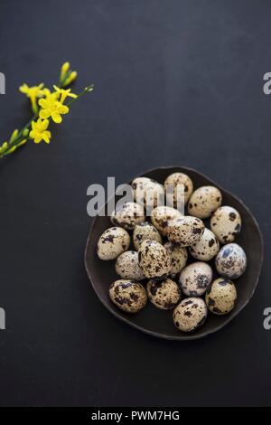 Quails' eggs in a bowl Stock Photo