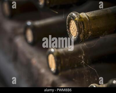 Bottles of wine stored in a cellar in Kakheti wine region, Georgia, Caucasus Stock Photo