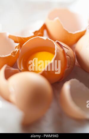 Cracked Egg Shells with Egg Yolk in Shell Stock Photo