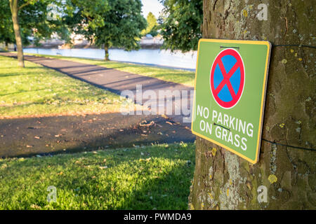 No Parking On Grass sign attached to a tree, Nottingham, England, UK Stock Photo