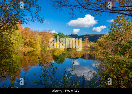 Autumn Trees on a Sunny Day in the Trossachs, Scotland, UK