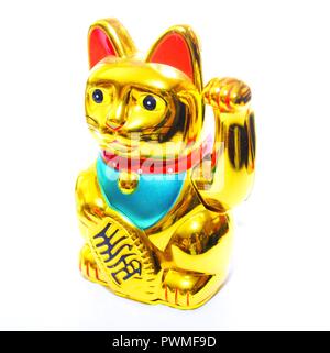 Maneki neko  Chinese lucky cat  waving  gold cat Stock Photo