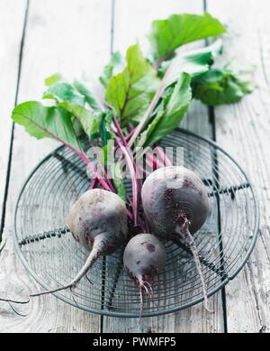 Beetroot with leaves Stock Photo