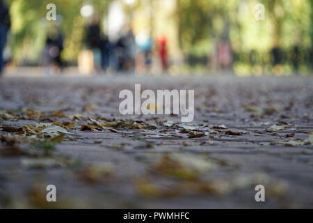 GDPR concept, Blur crowd on city street, defocused group of people walking. General data protection regulation ideas. Stock Photo