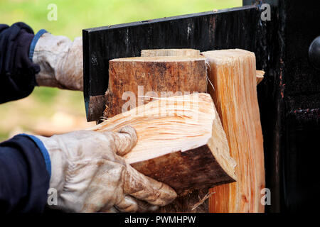 Saw cutting wood for winter. A man cutting firewood for the winter using a modern machine lumber saw. Wood industry. Heating season, winter season. Stock Photo
