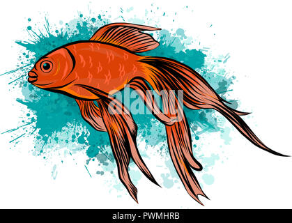 watercolor golden fish isolated on white background with sign Stock Photo