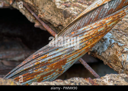 Fibers of steel cable close-up. Old abandoned cable-stayed bridge Stock Photo